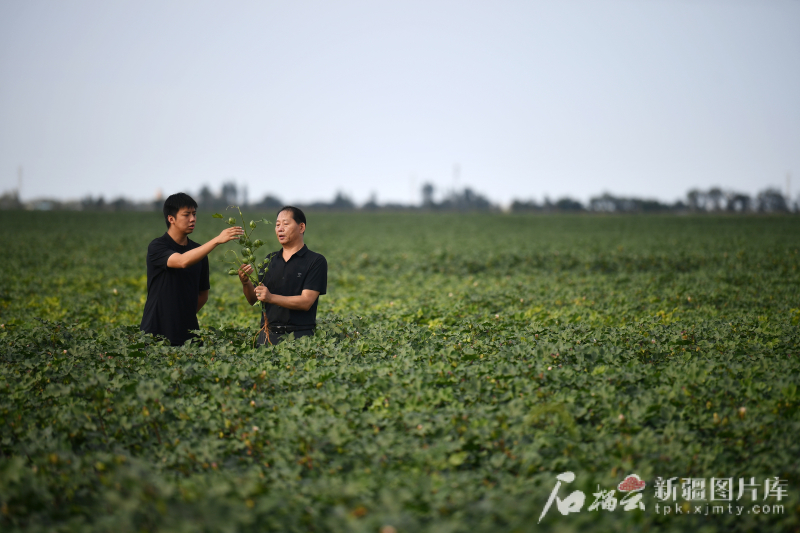 
北大口腔医院黄牛代挂号电话票贩子号贩子网上预约挂号,住院检查加快,完整准确全面贯彻新时代党的治疆方略丨滴水之变