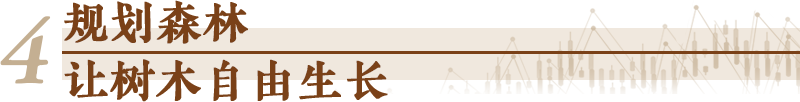 
上海精神卫生中心黄牛代挂号电话票贩子号贩子网上预约挂号,住院检查加快,经济随笔丨五句话打开“五年规划”