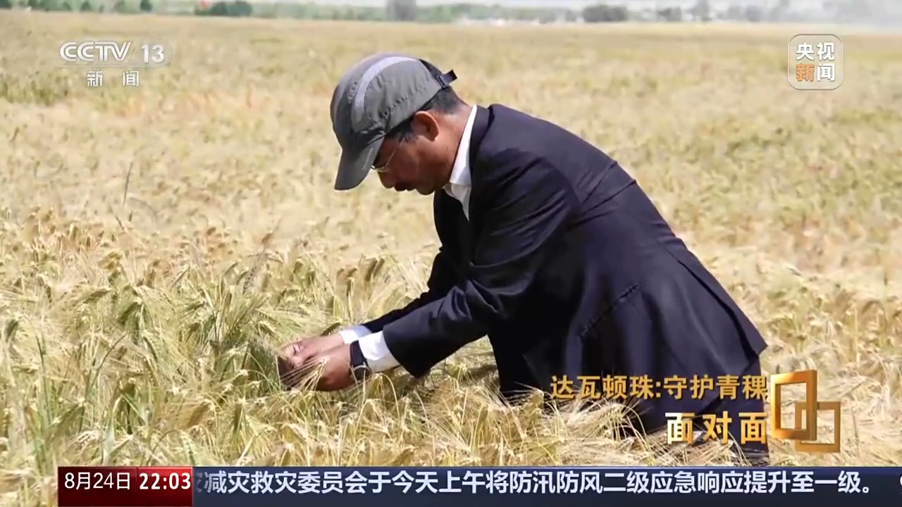 
广州肿瘤医院黄牛代挂号电话票贩子号贩子网上预约挂号,住院检查加快,面对面丨青稞为何要保留延续四千多个品种？解码“西藏粮仓”密码