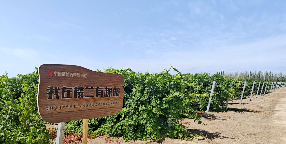 
江苏省中西医结合医院黄牛代挂号电话票贩子号贩子网上预约挂号,住院检查加快,新疆吐鲁番：小葡萄串起大产业