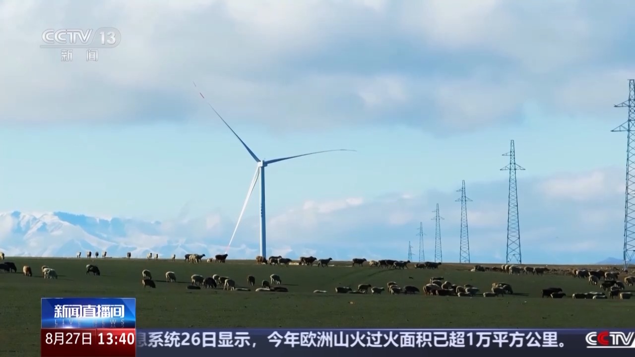 
北京儿童医院黄牛代挂号电话票贩子号贩子网上预约挂号,住院检查加快,西气东输果子沟管道工程隧道贯通 创新技术应用打造绿色管道工程