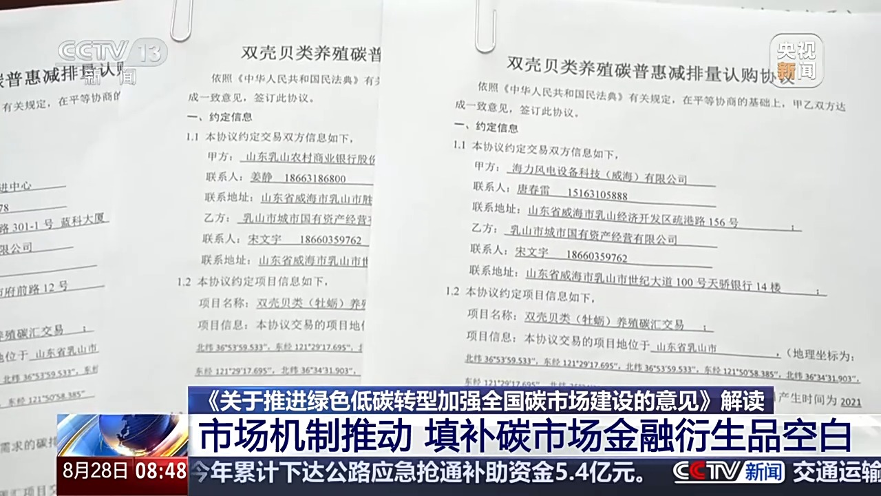 
首都医科大学附属儿童医院黄牛代挂号电话票贩子号贩子网上预约挂号,住院检查加快,碳市场面临阶段性挑战 将从哪三方面推进？解读来了
