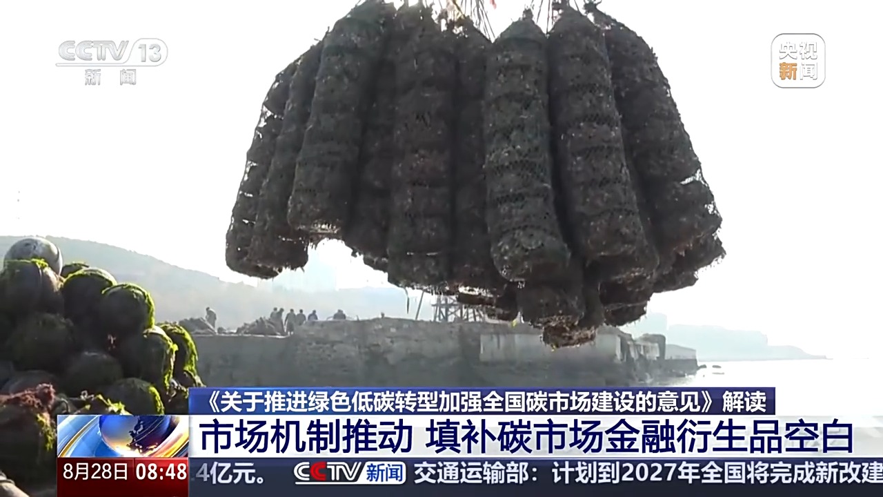 
首都医科大学附属儿童医院黄牛代挂号电话票贩子号贩子网上预约挂号,住院检查加快,碳市场面临阶段性挑战 将从哪三方面推进？解读来了