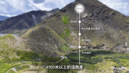 
杭州市人民医院黄牛代挂号电话票贩子号贩子网上预约挂号,住院检查加快,植观西藏四季丨追更“山灵盛野”的绿意密码