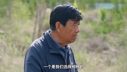 
杭州市人民医院黄牛代挂号电话票贩子号贩子网上预约挂号,住院检查加快,植观西藏四季丨追更“山灵盛野”的绿意密码