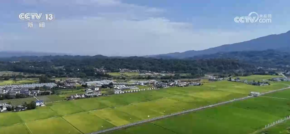 
首都医科大学附属阜外医院黄牛代挂号电话票贩子号贩子网上预约挂号,住院检查加快,无人机作业、智慧田管“上岗”……“数智+”为秋粮稳产丰收筑牢科技根基