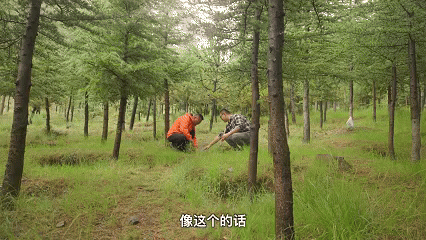 
杭州市人民医院黄牛代挂号电话票贩子号贩子网上预约挂号,住院检查加快,植观西藏四季丨追更“山灵盛野”的绿意密码