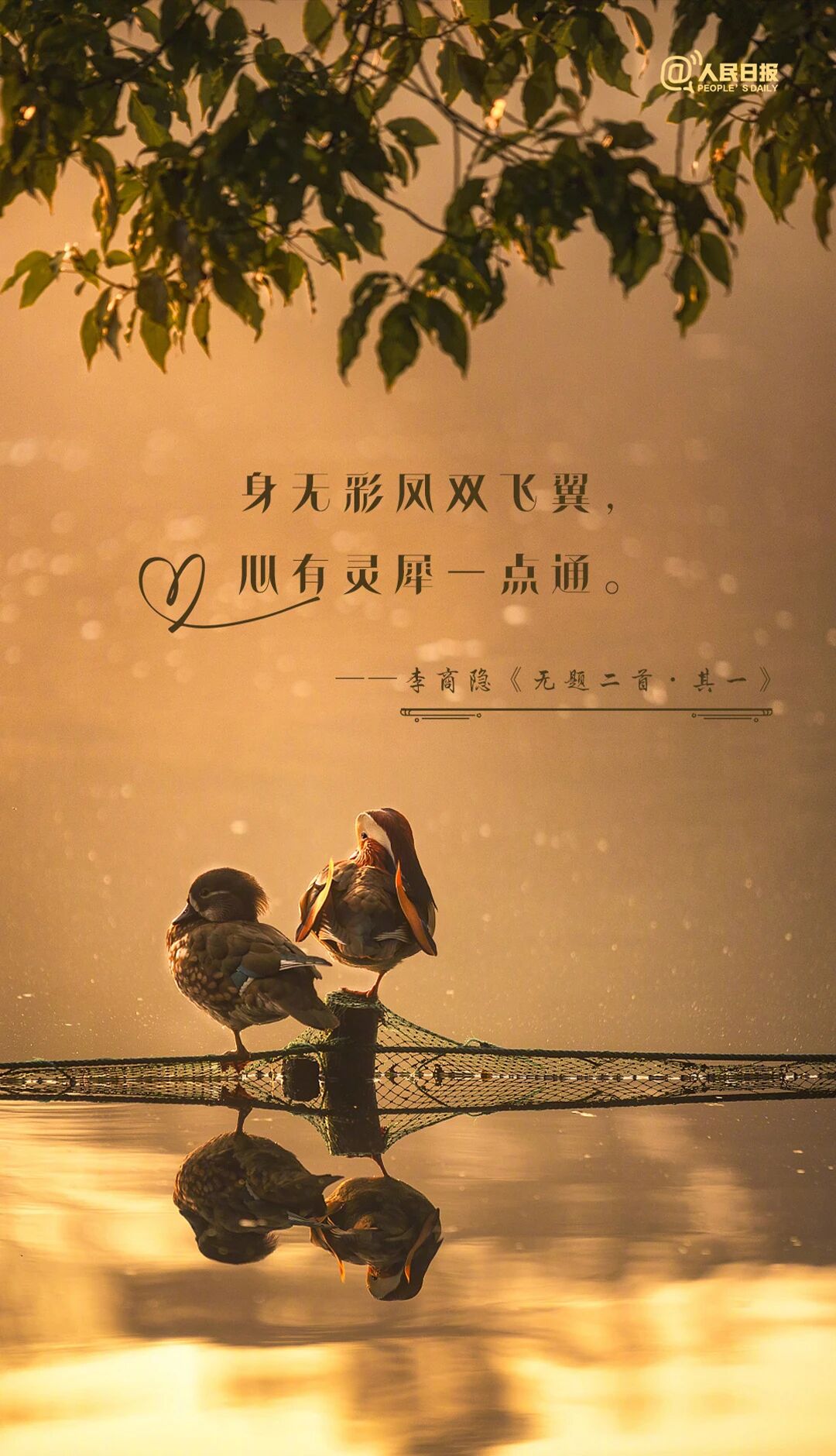 
北京鼓楼医院孙凌云黄牛代挂号电话票贩子号贩子网上预约挂号,住院检查加快,句句不提爱，句句都是爱