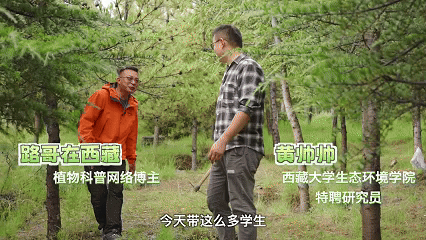 
杭州市人民医院黄牛代挂号电话票贩子号贩子网上预约挂号,住院检查加快,植观西藏四季丨追更“山灵盛野”的绿意密码