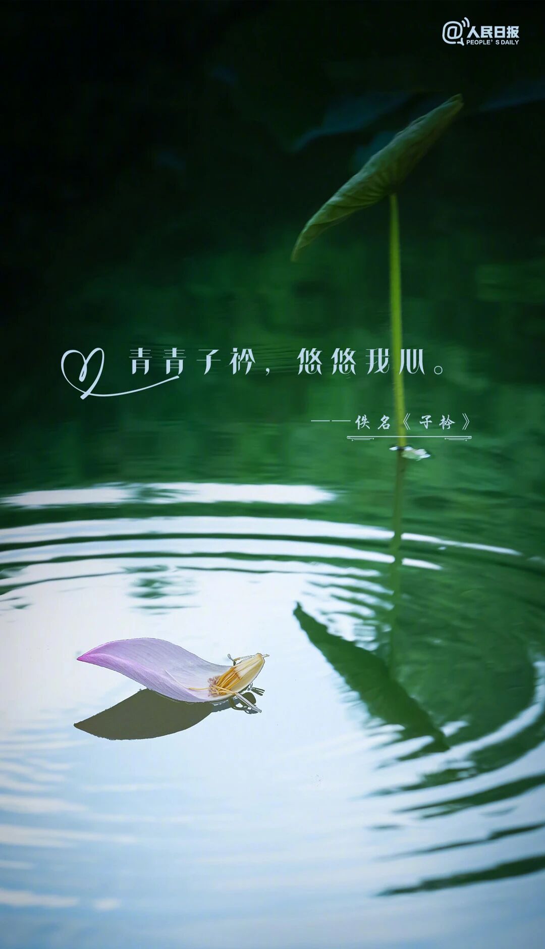 
北京鼓楼医院孙凌云黄牛代挂号电话票贩子号贩子网上预约挂号,住院检查加快,句句不提爱，句句都是爱