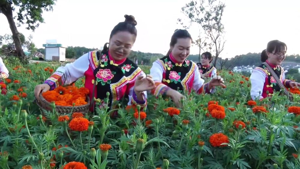 
长沙各大医院黄牛代挂号电话票贩子号贩子网上预约挂号,住院检查加快,新华视点｜“热”力四射！暑期多元业态激发经济新活力