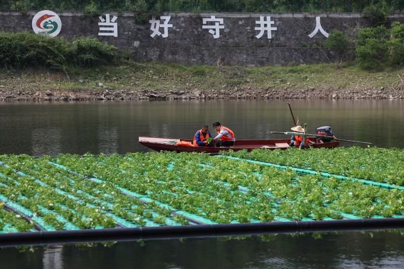 
江苏省肿瘤医院黄牛代挂号电话票贩子号贩子网上预约挂号,住院检查加快,活力中国调研行｜湖北丹江口：守水护水是天大的事