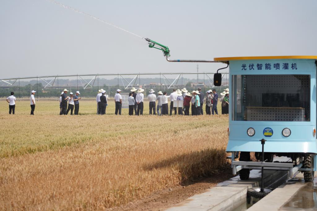 
东部战区总医院黄牛代挂号电话票贩子号贩子网上预约挂号,住院检查加快,上合组织天津峰会丨建设繁荣发展的共同家园——中国携手上合组织伙伴共走可持续发展之路