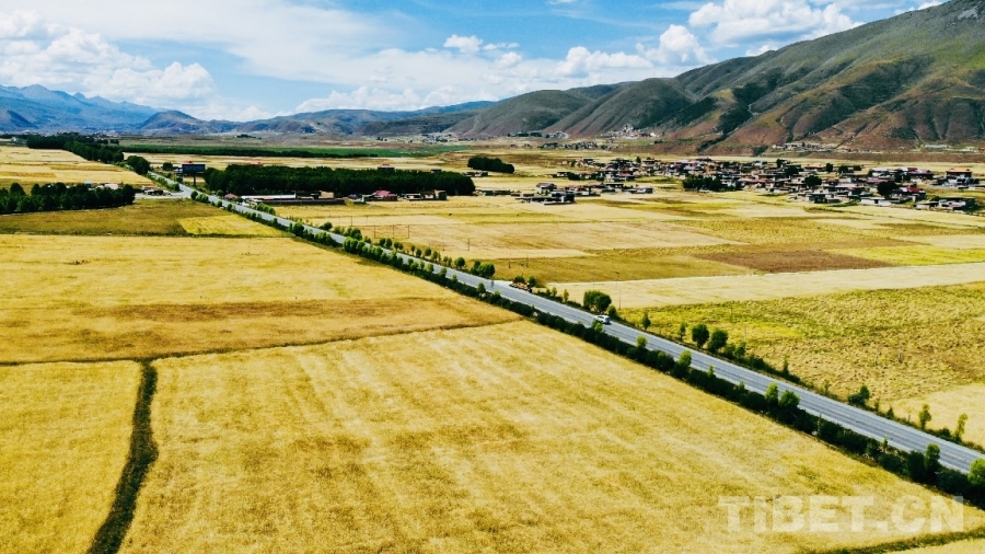 
北京肿瘤医院黄牛代挂号电话票贩子号贩子网上预约挂号,住院检查加快,四川甘孜县：探索高原农业现代化新路径
