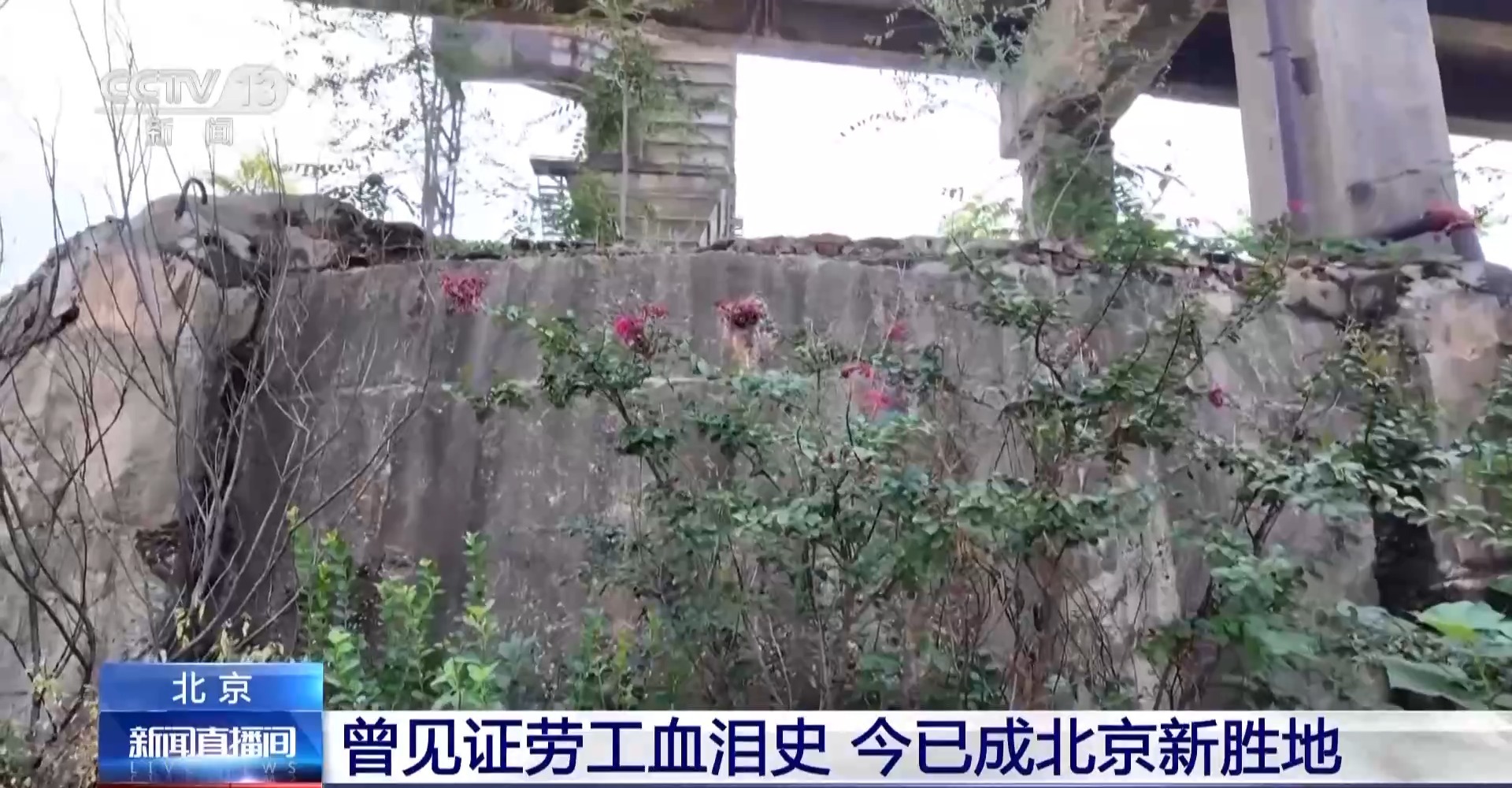 
广州中医药大学一附医院黄牛代挂号电话票贩子号贩子网上预约挂号,住院检查加快,工业遗产焕发新活力 首钢园成北京新胜地