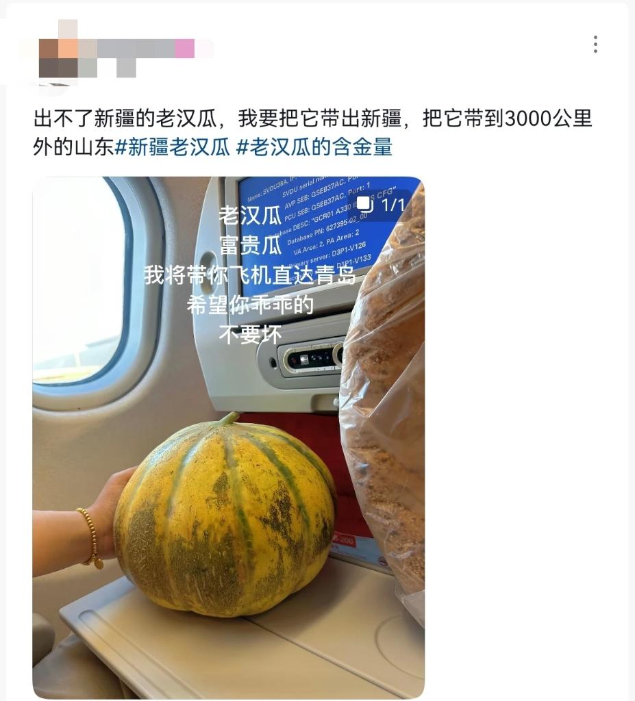 
杭州中医院黄牛代挂号电话票贩子号贩子网上预约挂号,住院检查加快,一颗老汉瓜里的新疆故事：从 “带不出新疆” 到 “香飘千万家”