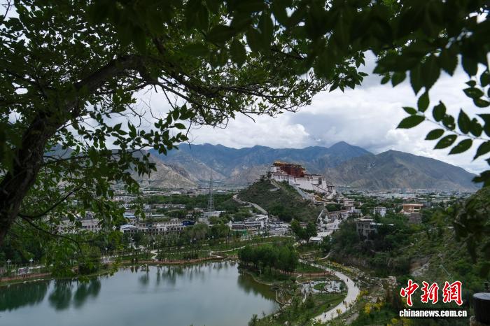 
北京天坛医院黄牛代挂号电话票贩子号贩子网上预约挂号,住院检查加快,（辉煌60载 魅力新西藏）布达拉宫周边一甲子变迁记