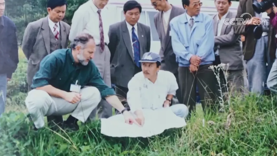 
首都医科大学附宣武医院黄牛代挂号电话票贩子号贩子网上预约挂号,住院检查加快,人教版语文教材，新增这篇课文！