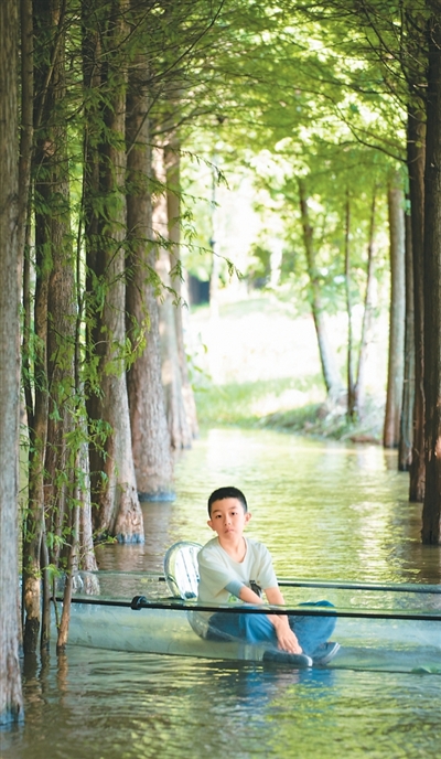 
中山大学中山眼科中心黄牛代挂号电话票贩子号贩子网上预约挂号,住院检查加快,我的暑假有滋味