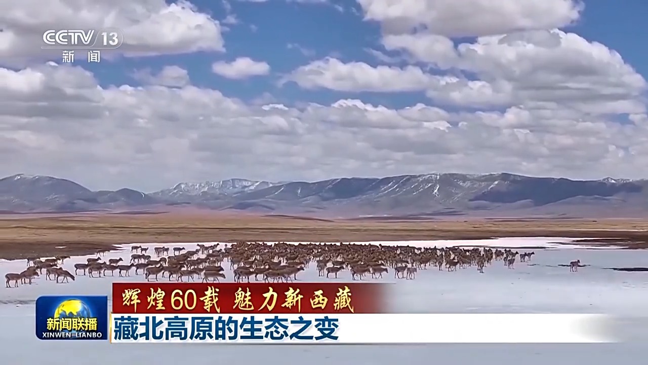 
广州各大医院黄牛代挂号电话票贩子号贩子网上预约挂号,住院检查加快,辉煌60载 魅力新西藏丨藏北高原的生态之变