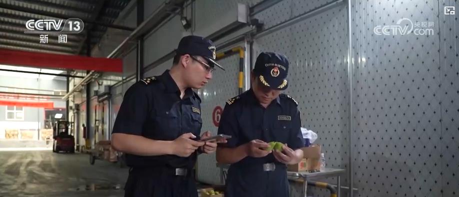
上海眼耳鼻喉科医院黄牛代挂号电话票贩子号贩子网上预约挂号,住院检查加快,进出口总值突破3万亿元！黄河流域打造内陆对外开放新高地