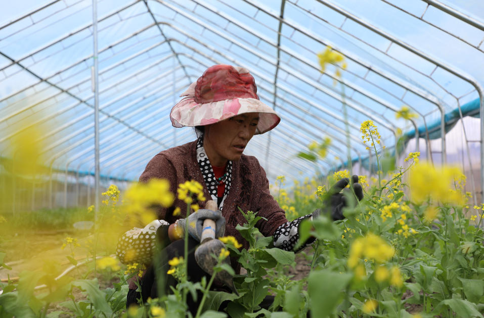 
江苏省中西医结合医院黄牛代挂号电话票贩子号贩子网上预约挂号,住院检查加快,辉煌60年·我们的家园｜高原“旅客”上太空