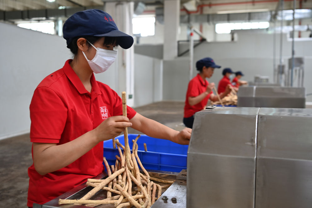 
广东省中医院黄牛代挂号电话票贩子号贩子网上预约挂号,住院检查加快,镜观·回响｜保障人民健康 筑牢幸福根基