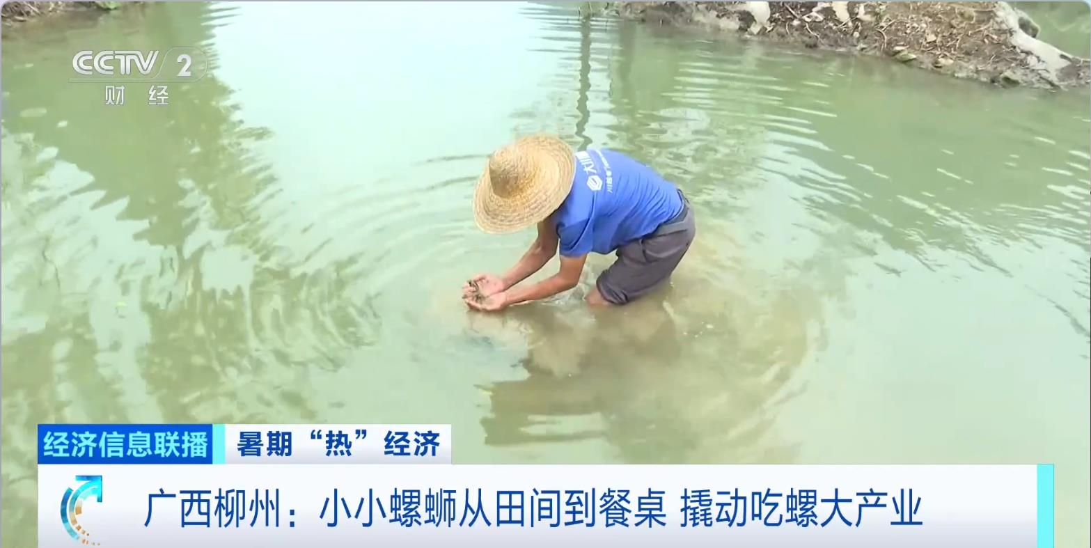 
首都医科大学附属北京同仁医院黄牛代挂号电话票贩子号贩子网上预约挂号,住院检查加快,小小螺蛳从田间到餐桌 撬动广西柳州吃螺大产业