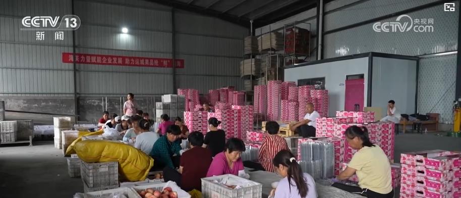 
上海眼耳鼻喉科医院黄牛代挂号电话票贩子号贩子网上预约挂号,住院检查加快,进出口总值突破3万亿元！黄河流域打造内陆对外开放新高地