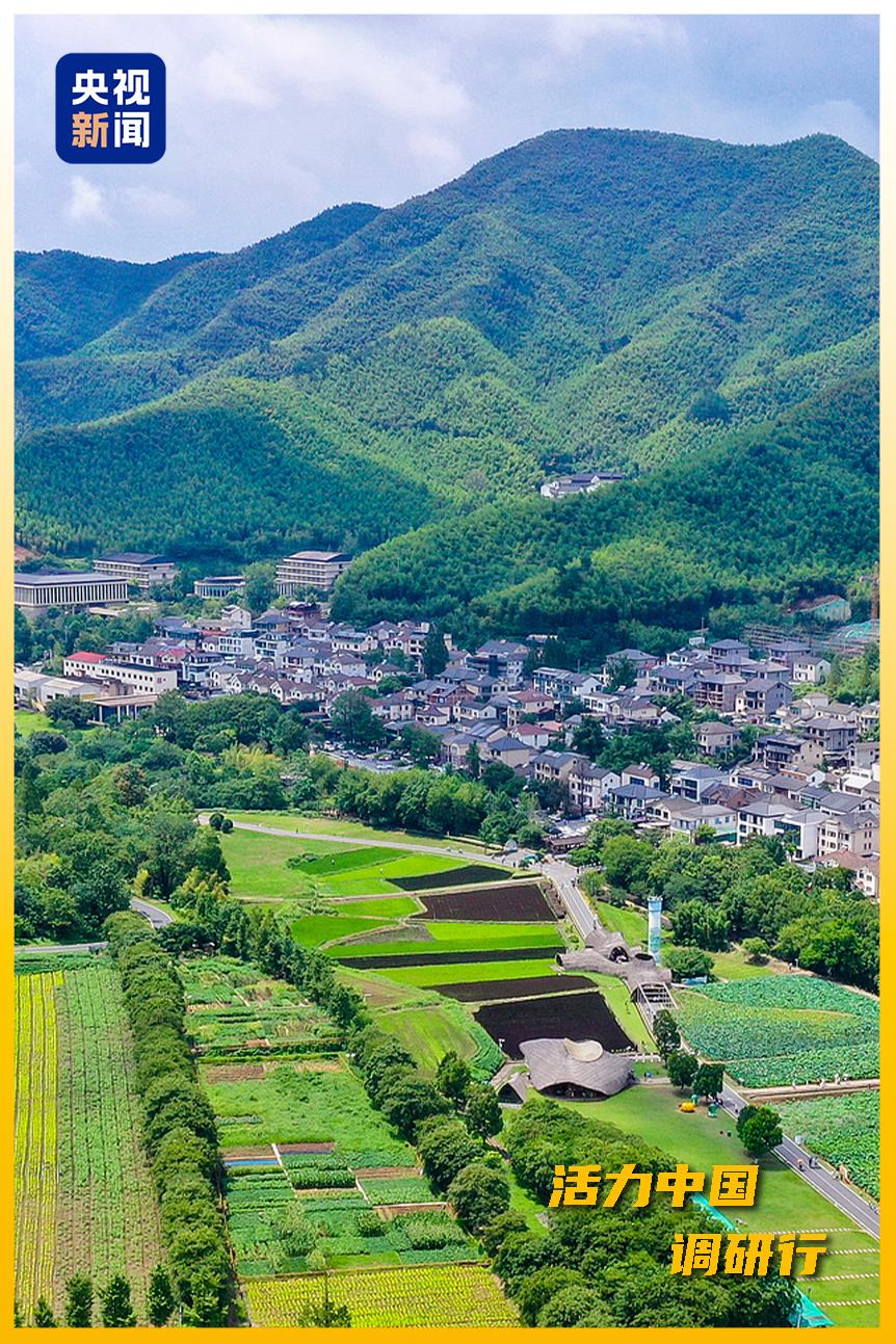 
北京八大处整形医院黄牛代挂号电话票贩子号贩子网上预约挂号,住院检查加快,活力中国调研行丨从“浙”里，看中国