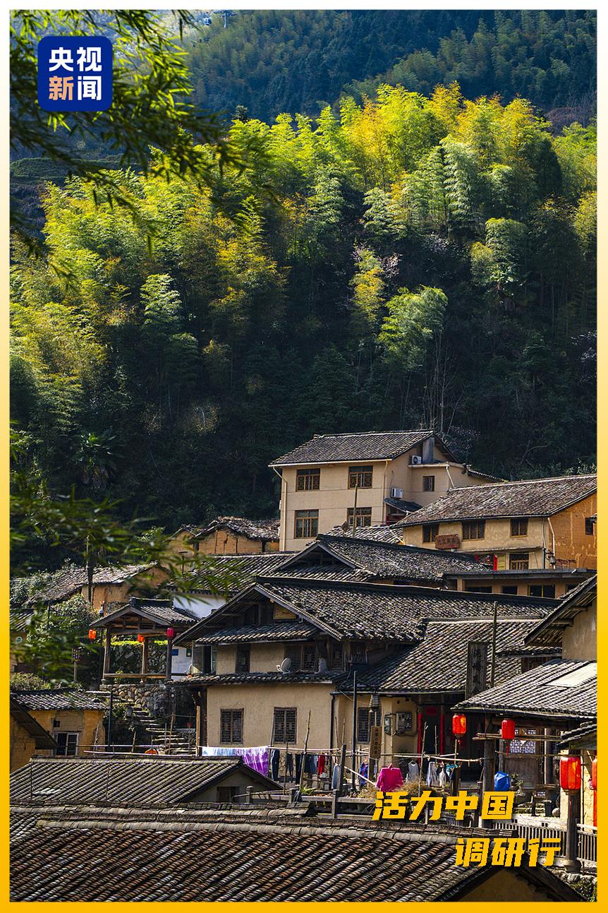 
北京八大处整形医院黄牛代挂号电话票贩子号贩子网上预约挂号,住院检查加快,活力中国调研行丨从“浙”里，看中国