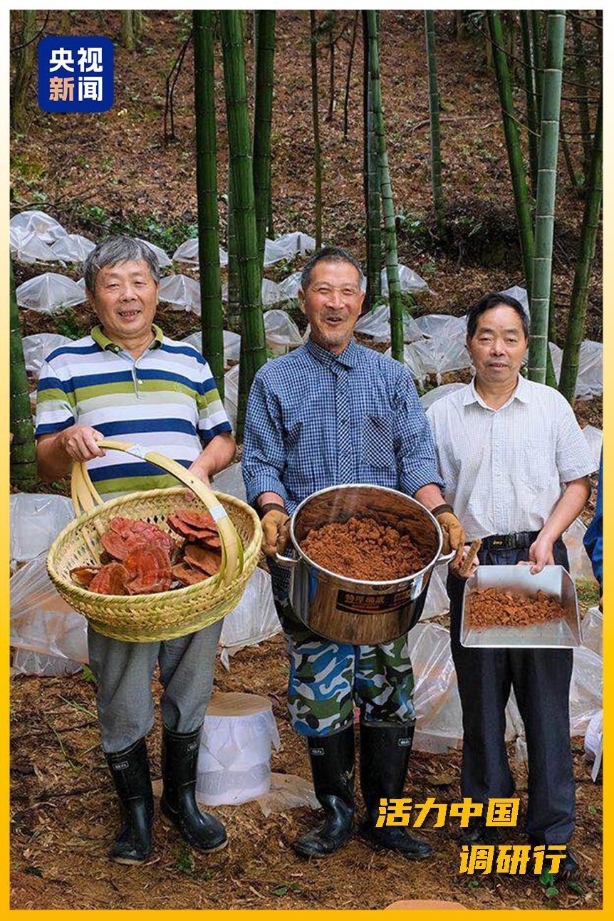 
北京八大处整形医院黄牛代挂号电话票贩子号贩子网上预约挂号,住院检查加快,活力中国调研行丨从“浙”里，看中国