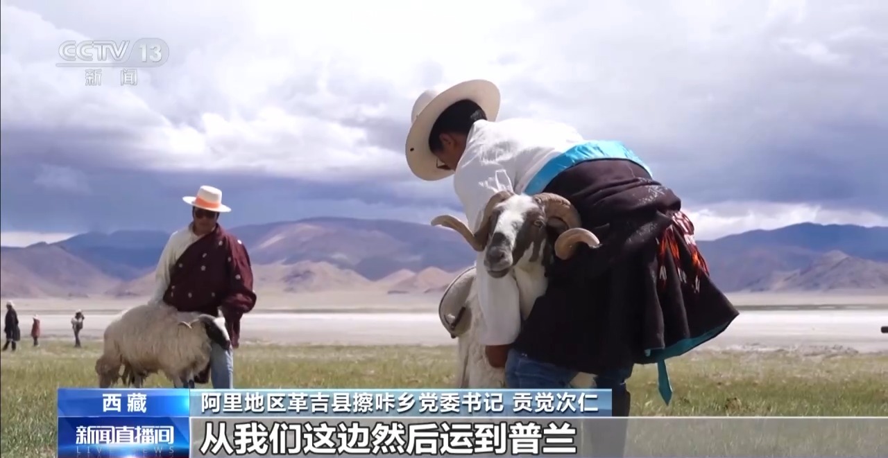 
广州肿瘤医院黄牛代挂号电话票贩子号贩子网上预约挂号,住院检查加快,辉煌60载 魅力新西藏丨盐田致富路 古道换新颜