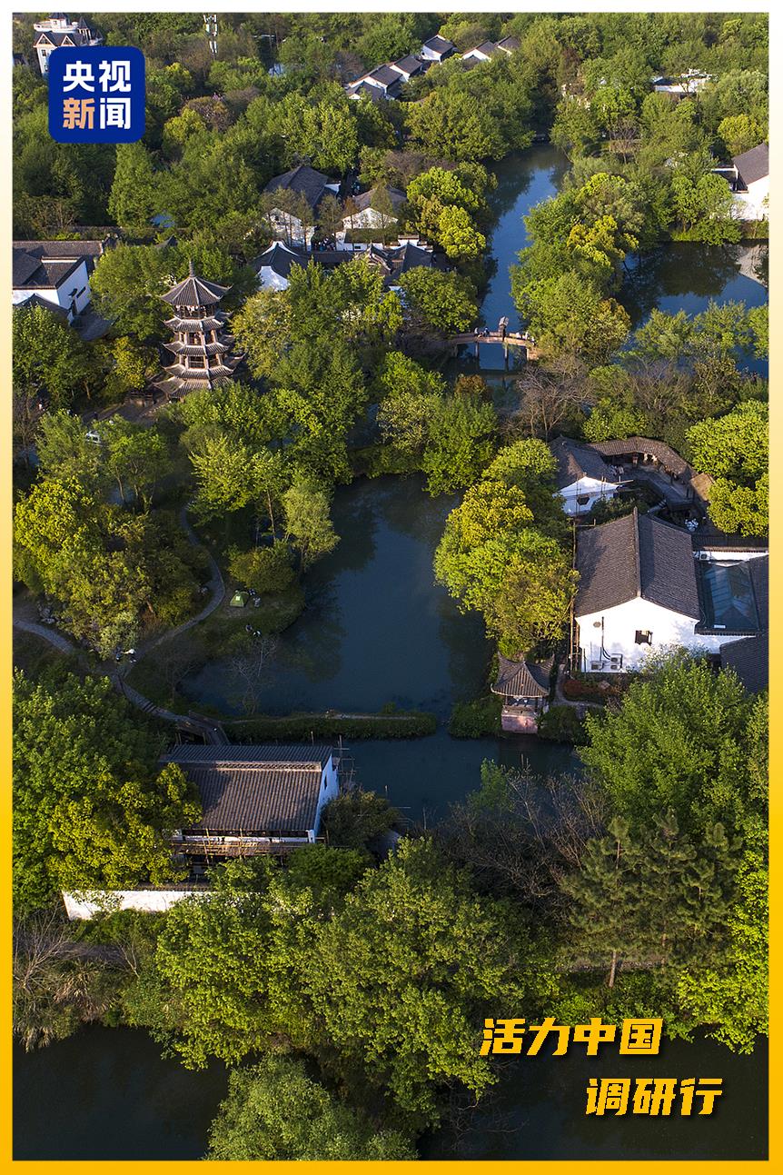 
北京八大处整形医院黄牛代挂号电话票贩子号贩子网上预约挂号,住院检查加快,活力中国调研行丨从“浙”里，看中国