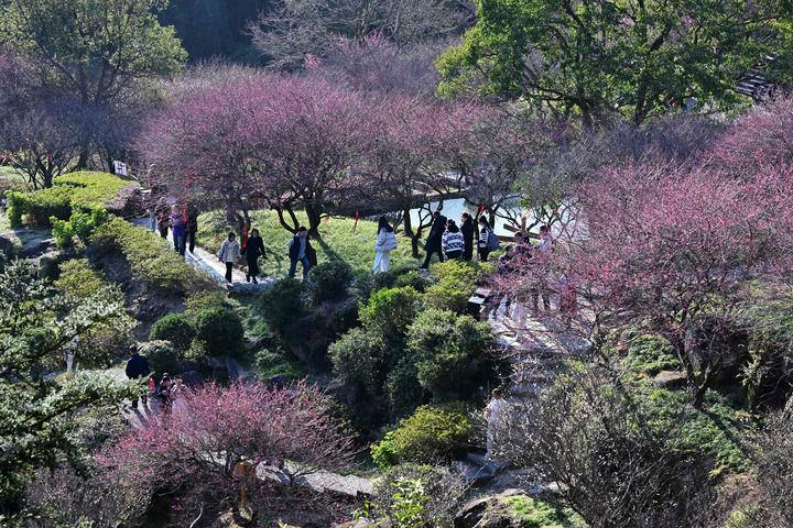 
广州中医院黄牛代挂号电话票贩子号贩子网上预约挂号,住院检查加快,时政微观察丨关乎人民幸福 关乎民族未来