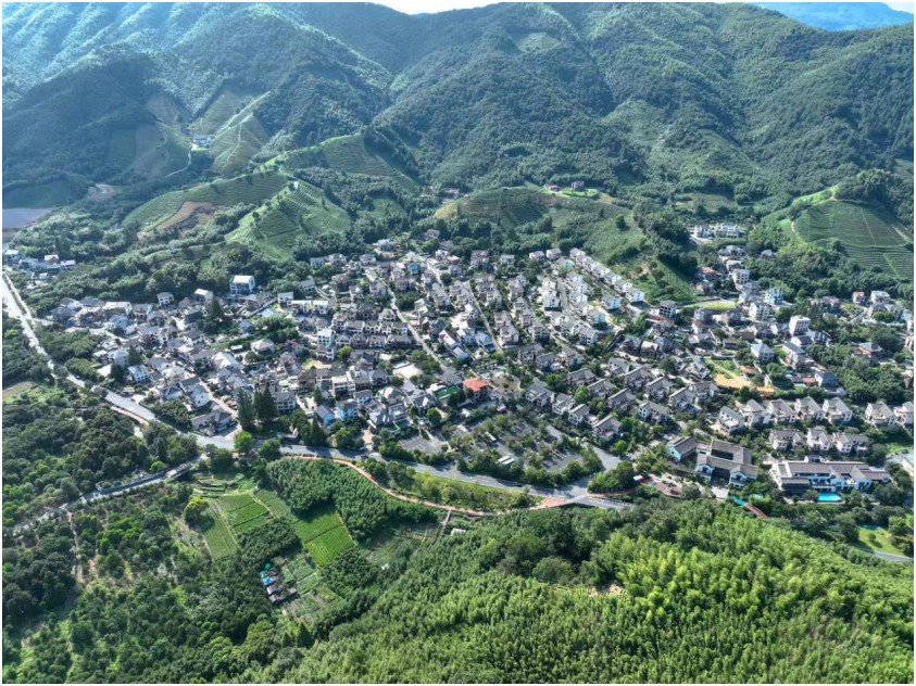 
广州中山眼科医院黄牛代挂号电话票贩子号贩子网上预约挂号,住院检查加快,活力中国调研行｜来“浙”里，打卡宝藏乡村！