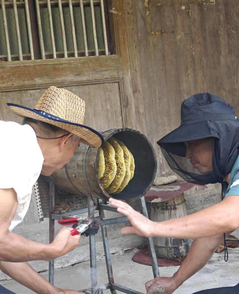
广州中山眼科医院黄牛代挂号电话票贩子号贩子网上预约挂号,住院检查加快,活力中国调研行｜来“浙”里，打卡宝藏乡村！