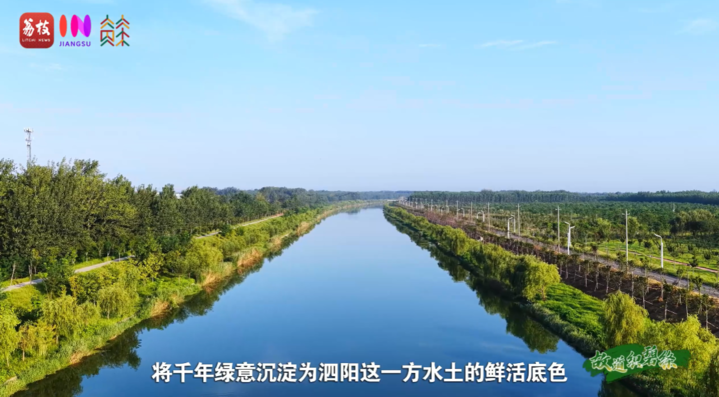 
广州中山一院黄牛代挂号电话票贩子号贩子网上预约挂号,住院检查加快,“县”在起笔 青绿绘江山 | 黄河故道织碧绦