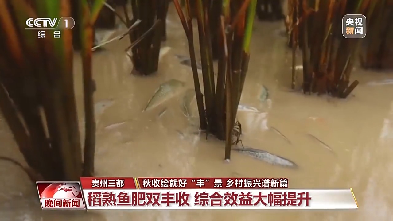 
北京大学第三医院黄牛代挂号电话票贩子号贩子网上预约挂号,住院检查加快,金秋时节好“丰”景 田间地头抢收忙