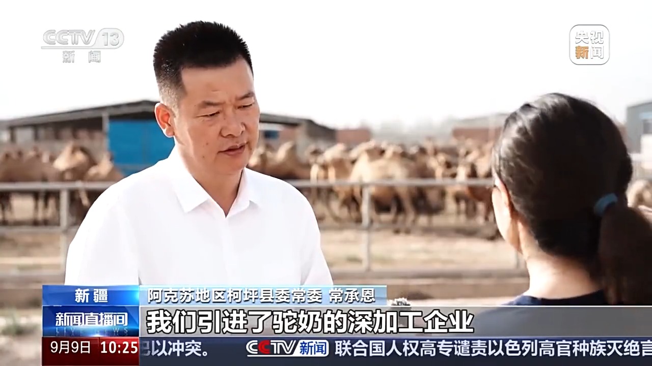 
北京中医药大学东直门医院黄牛代挂号电话票贩子号贩子网上预约挂号,住院检查加快,砥砺奋进七十载 天山南北谱华章丨从沙漠之舟到产业之舟 新疆骆驼产业用上智能化生产线