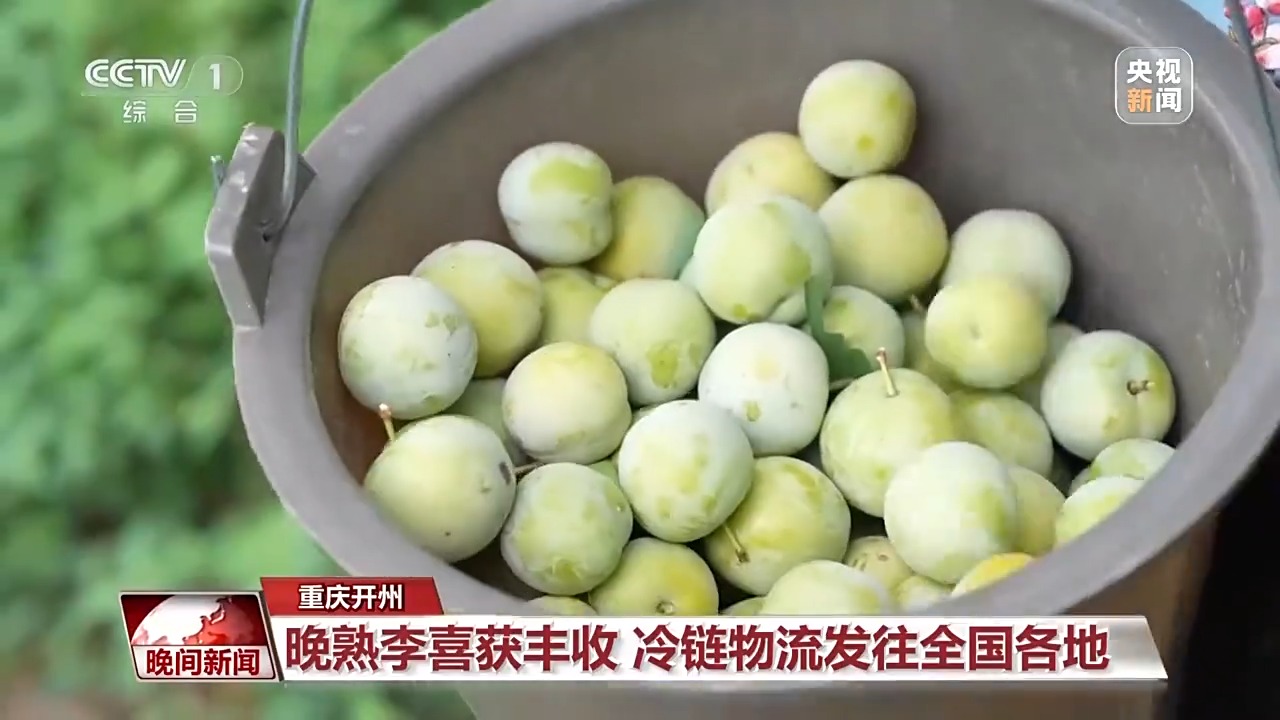 
北京大学第三医院黄牛代挂号电话票贩子号贩子网上预约挂号,住院检查加快,金秋时节好“丰”景 田间地头抢收忙