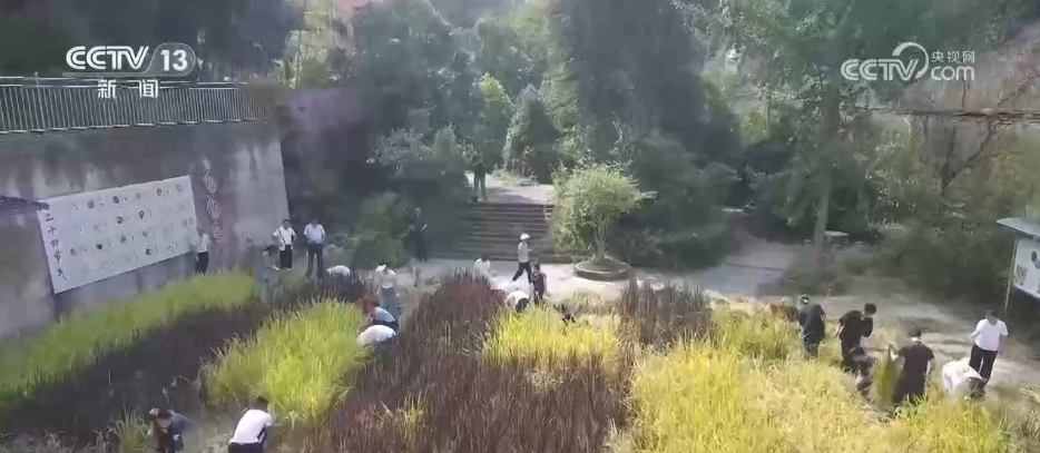 
首都医科大学附宣武医院黄牛代挂号电话票贩子号贩子网上预约挂号,住院检查加快,教师节快乐！对每一位老师道声辛苦，感谢您的培养之恩