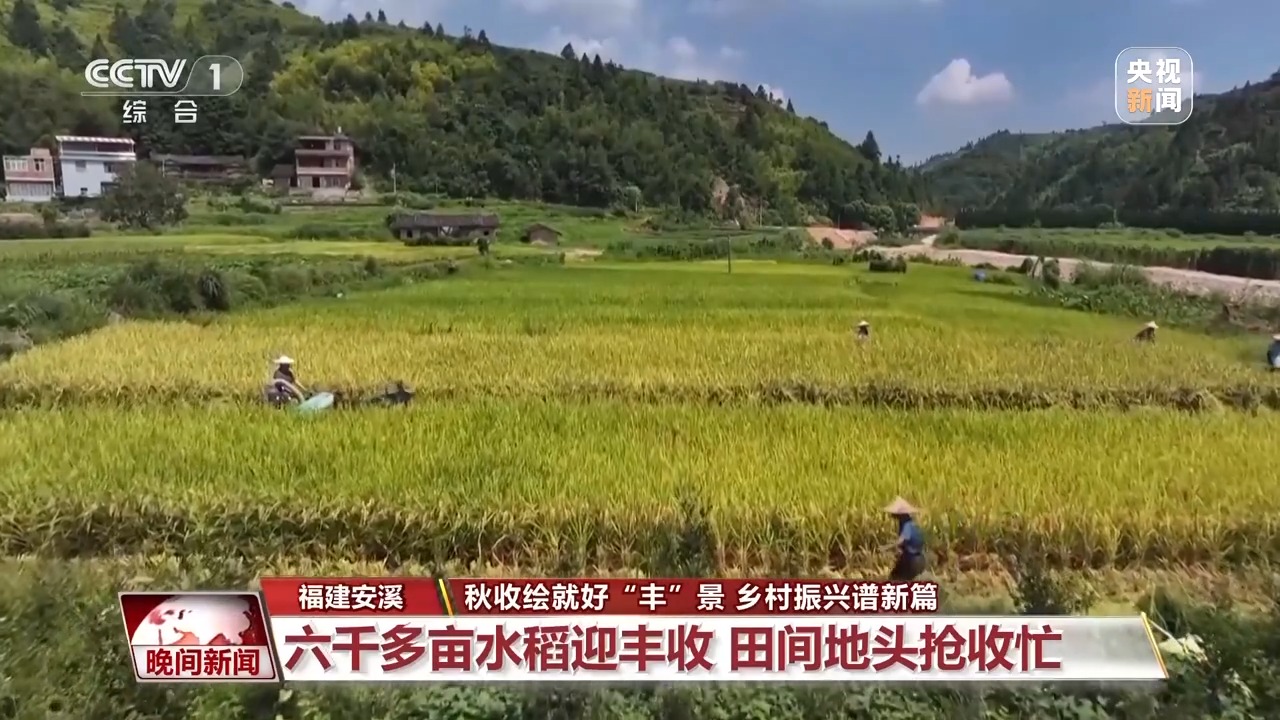 
北京大学第三医院黄牛代挂号电话票贩子号贩子网上预约挂号,住院检查加快,金秋时节好“丰”景 田间地头抢收忙