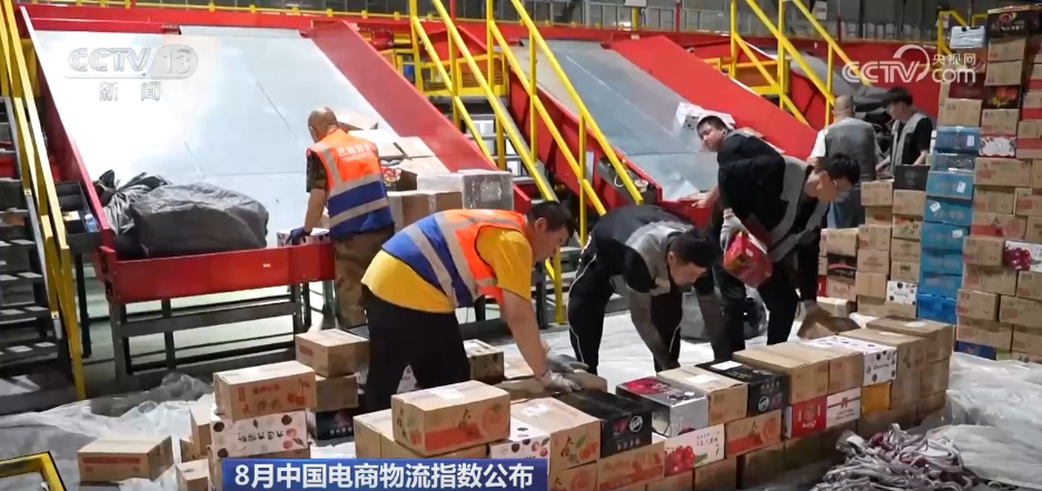 
沈阳各大医院黄牛代挂号电话票贩子号贩子网上预约挂号,住院检查加快,消费潜力释放、国际航线织密 8月电商物流指数继续创年内新高