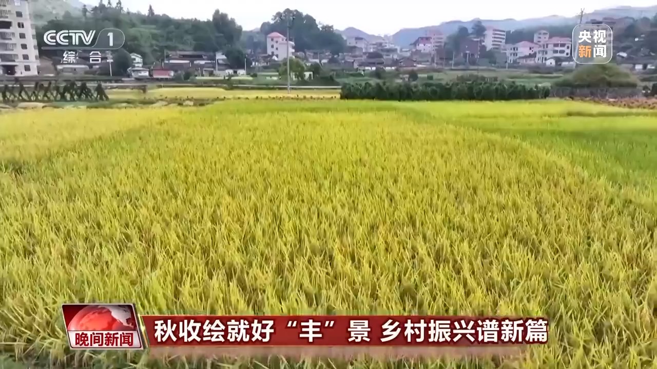 
北京大学第三医院黄牛代挂号电话票贩子号贩子网上预约挂号,住院检查加快,金秋时节好“丰”景 田间地头抢收忙