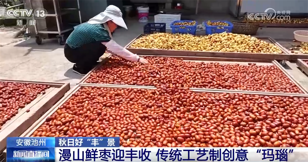 
北京朝阳医院黄牛代挂号电话票贩子号贩子网上预约挂号,住院检查加快,瓜果飘香、田野金黄、收获正忙 秋日大地“调色盘”绘就富农好“丰”光