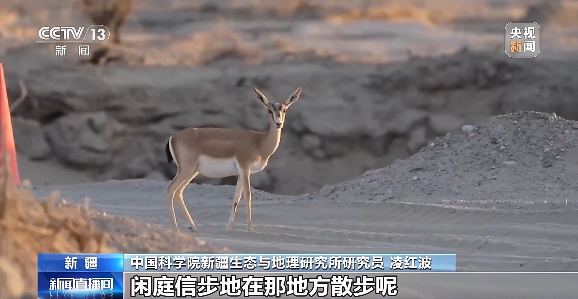 
中国人民解放军总医院黄牛代挂号电话票贩子号贩子网上预约挂号,住院检查加快,砥砺奋进七十载 天山南北谱华章丨十年巧治流沙 台特玛湖焕然新生