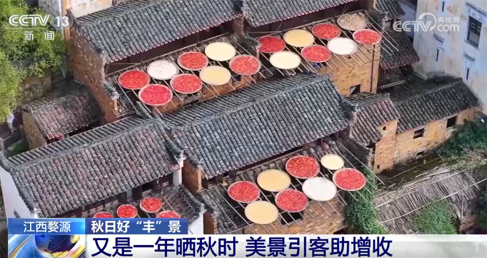 
北京朝阳医院黄牛代挂号电话票贩子号贩子网上预约挂号,住院检查加快,瓜果飘香、田野金黄、收获正忙 秋日大地“调色盘”绘就富农好“丰”光