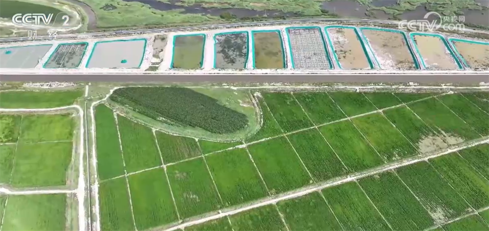 
广州中山三医院黄牛代挂号电话票贩子号贩子网上预约挂号,住院检查加快,新技术、新模式、新品种……秋日田园满满“科技范儿” 铺展丰收画卷