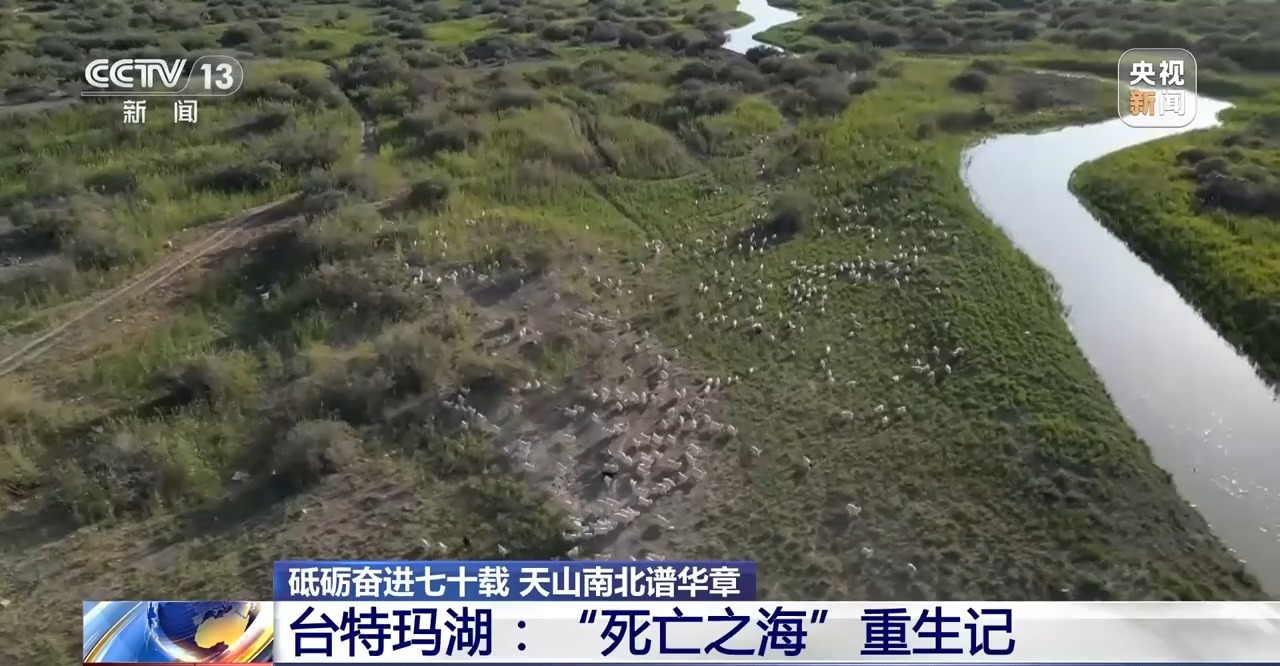 
中国人民解放军总医院黄牛代挂号电话票贩子号贩子网上预约挂号,住院检查加快,砥砺奋进七十载 天山南北谱华章丨十年巧治流沙 台特玛湖焕然新生